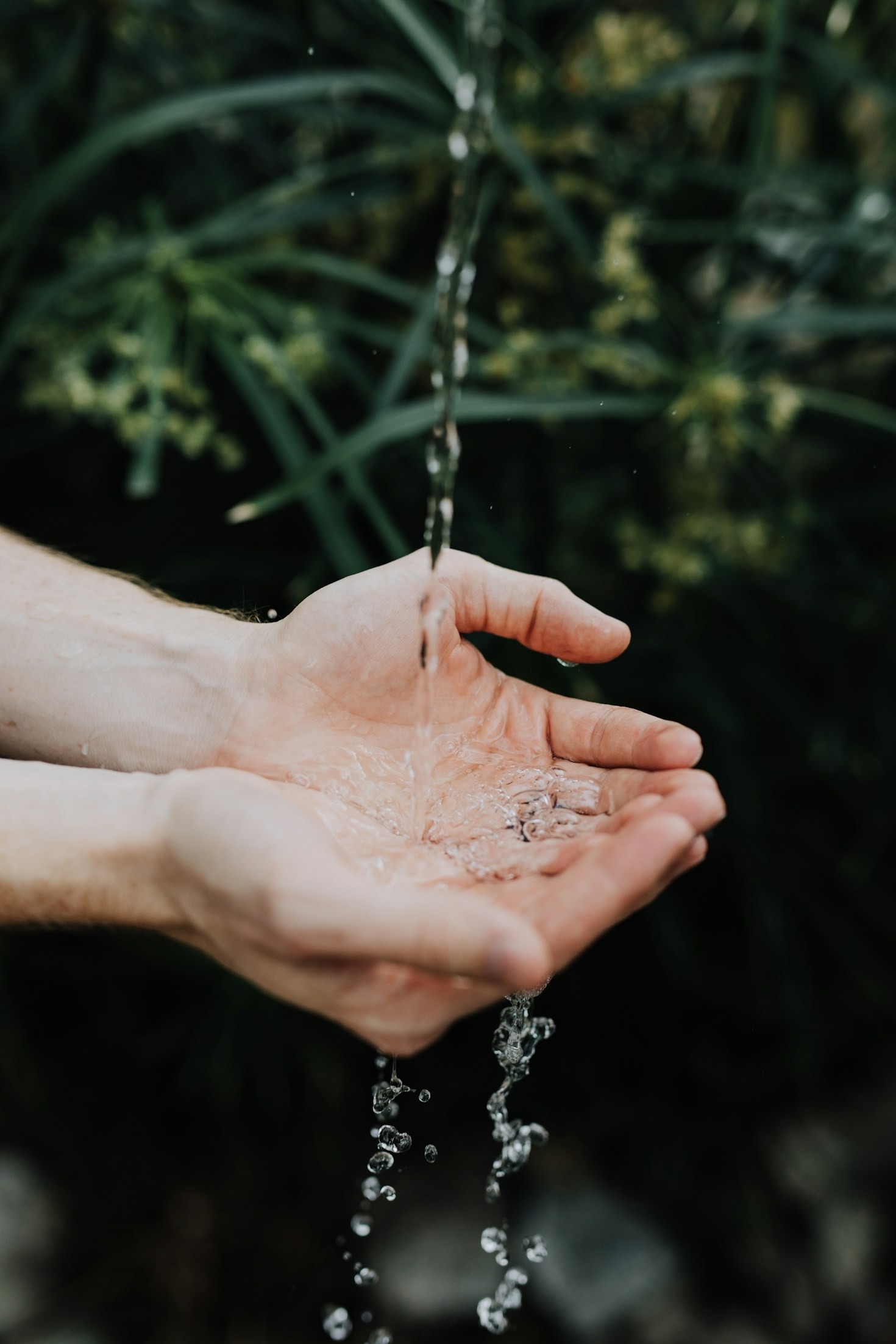 Expert Advice on Maintaining Your Water Filter