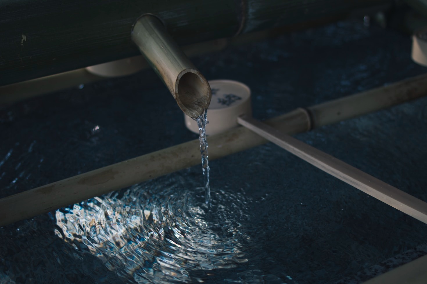 Understanding the Different Types of Water Filters